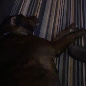 Meet your Posher, Taylor